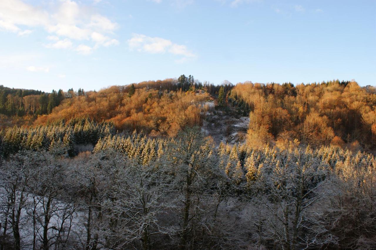 Le P'Tit Gite De Chomet La Tour-dʼAuvergne Buitenkant foto